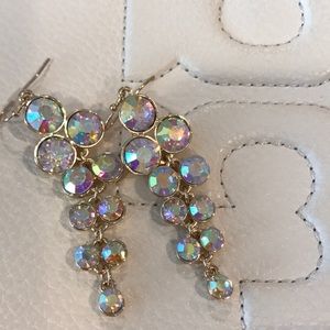Gorgeous Multi Colored Earrings